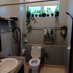 Uni Building (D15), Apartment #511143061